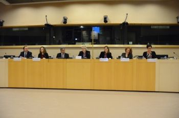 A harmonised and global approach needed to reach 100% Sustainable Palm oil