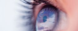 Vision & objectives